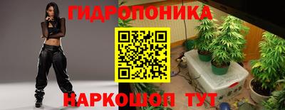 твердый Будённовск