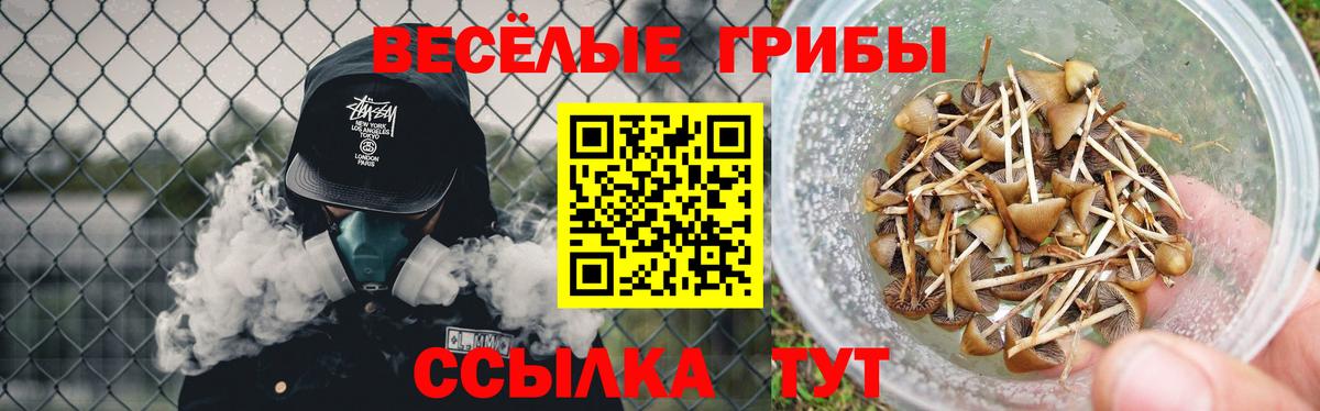 Осинники  Галлюциногенные грибы Psilocybine cubensis  Вход с VPN 